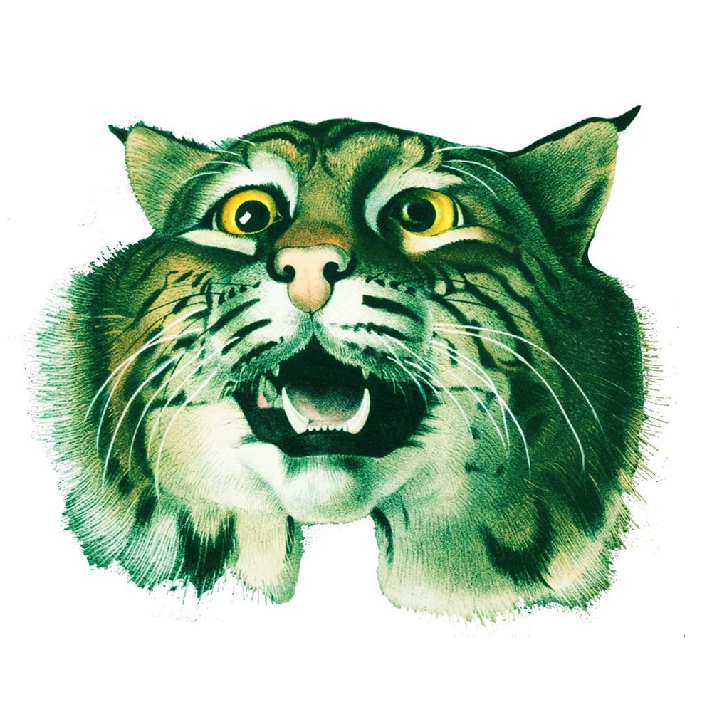 Meet your Posher, The cat's meow